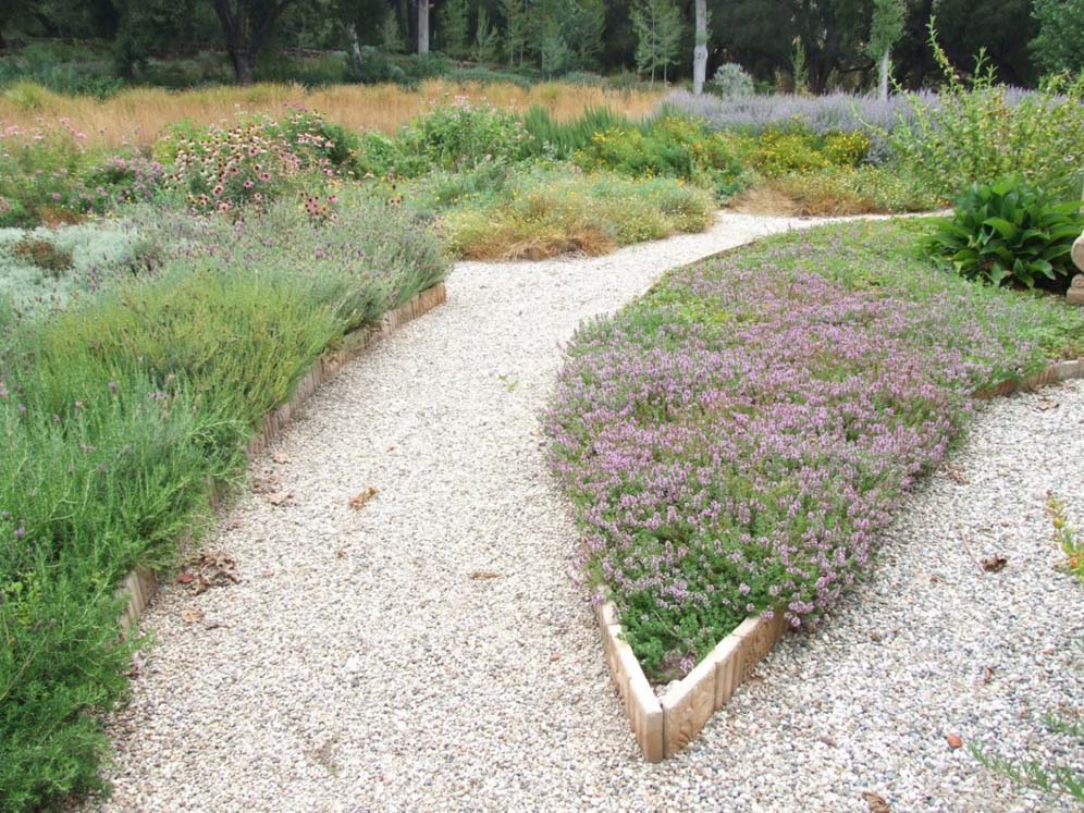 path-split-in-two