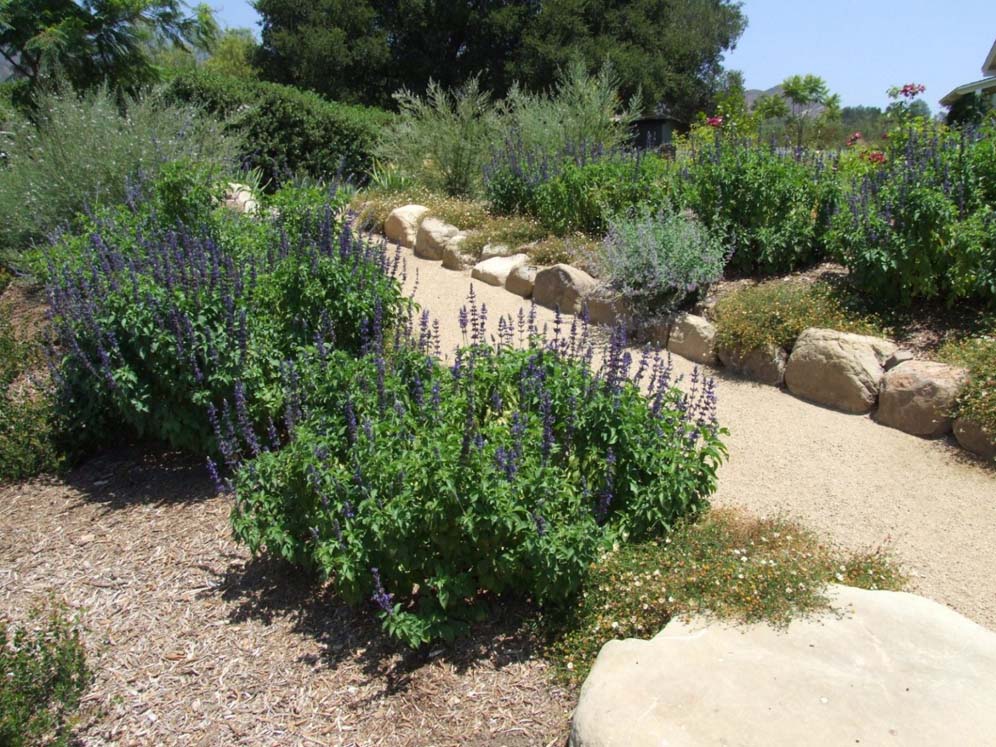 Drifts of Sage