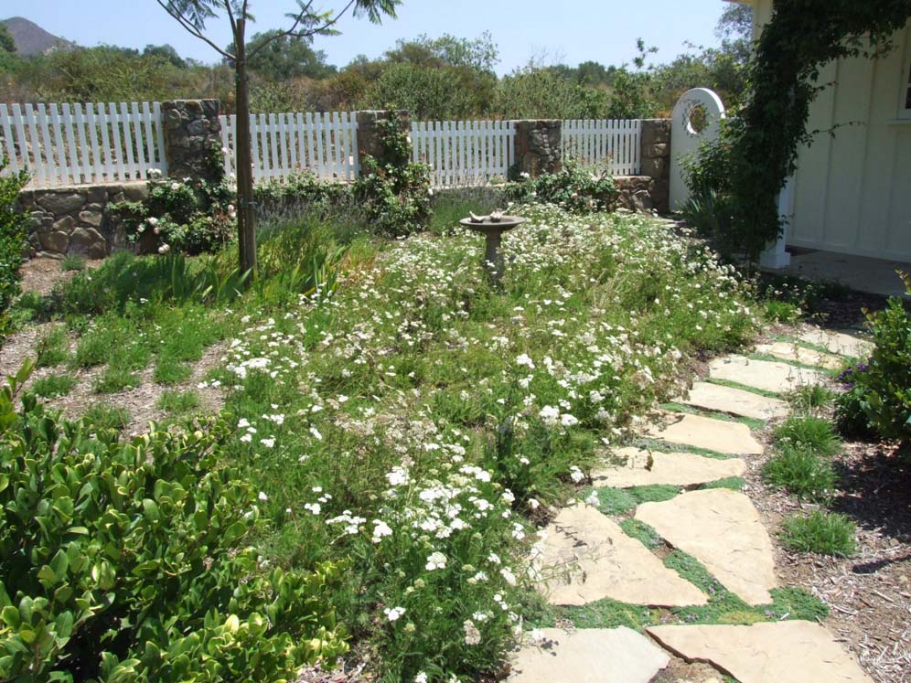 Magical Garden