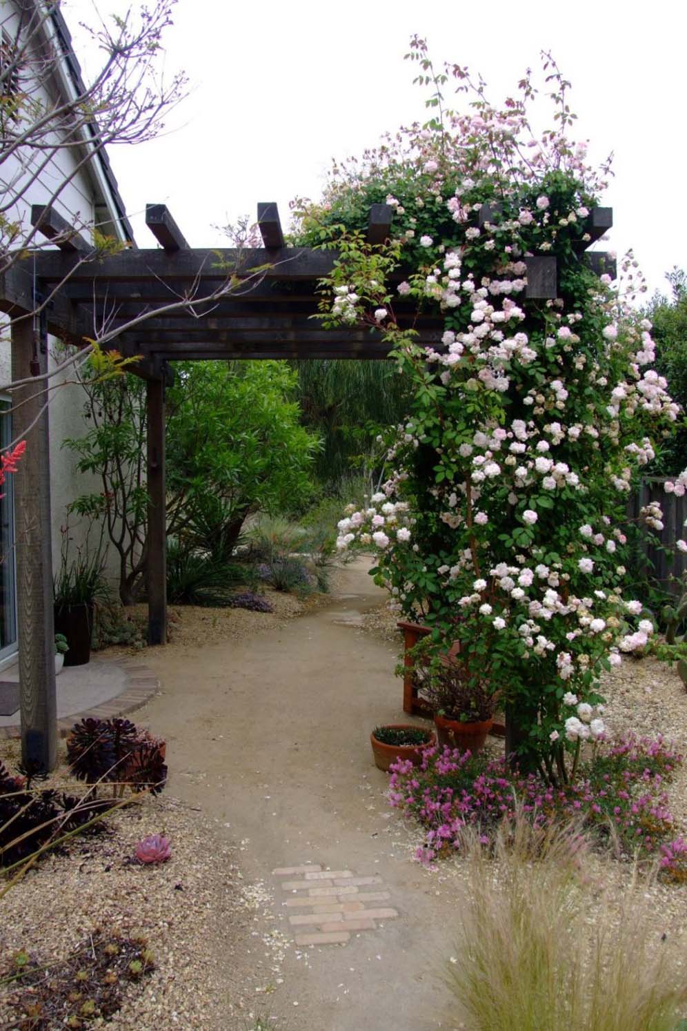 Rose Arbor