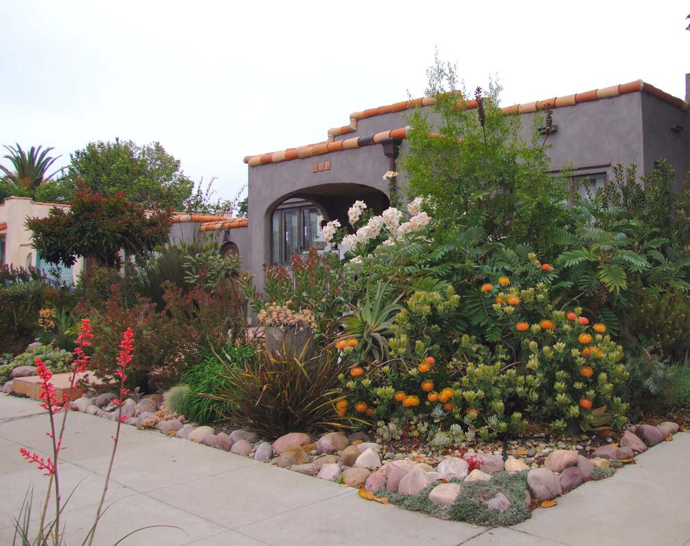 Orange Roof Tile and Flowers